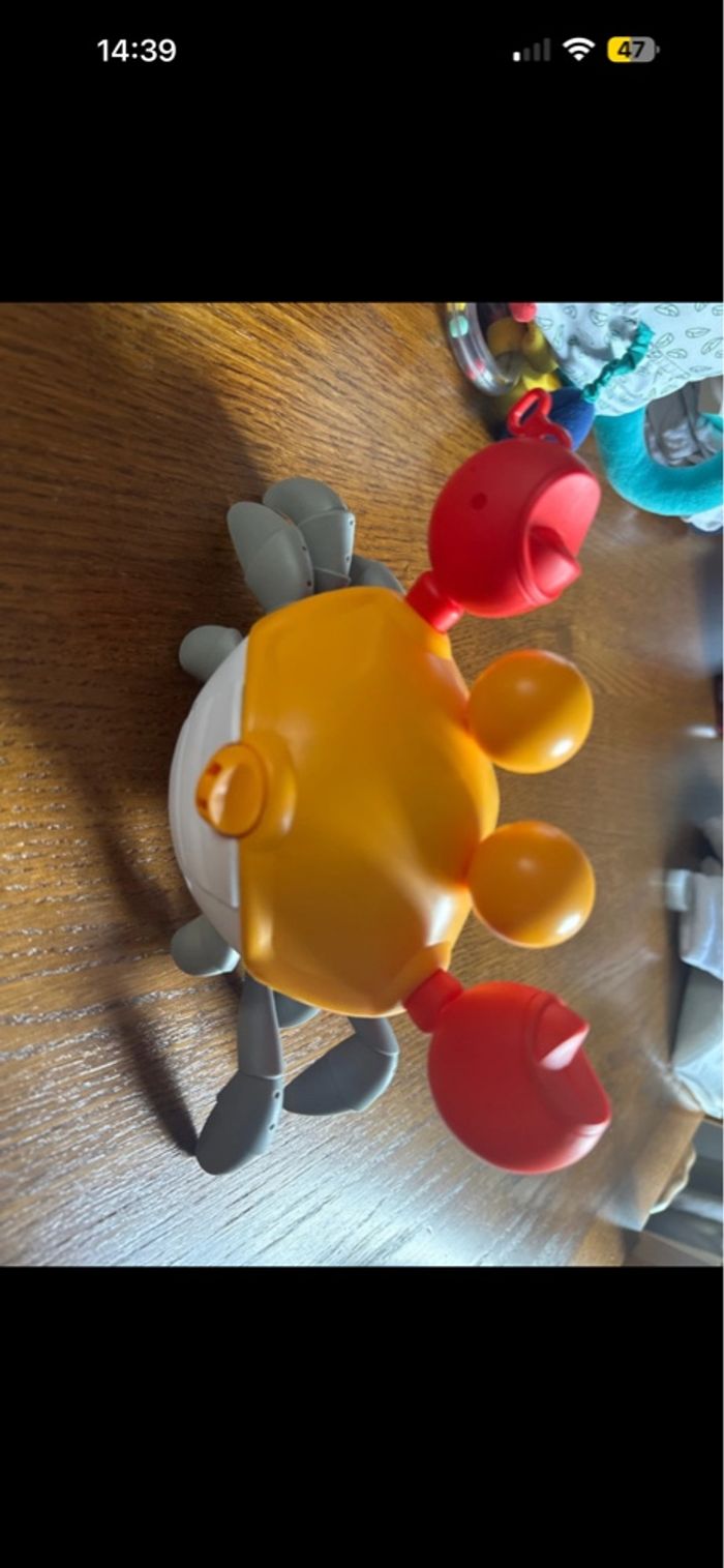 Crabe - photo numéro 2