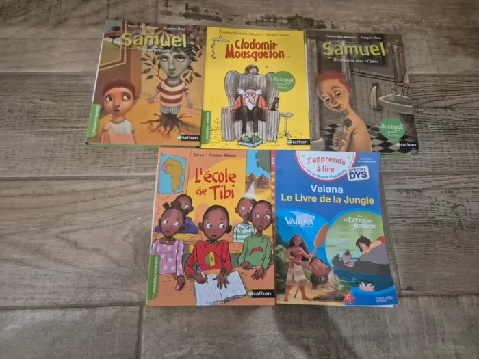 Lot de livres premières lectures romans spécial dys