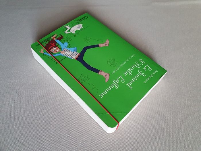 Livre Aurélie Laflamme T4 - photo numéro 5