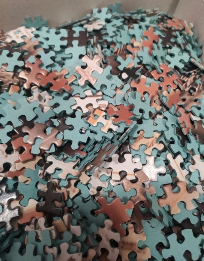 Puzzle 2000 pièces - photo numéro 3