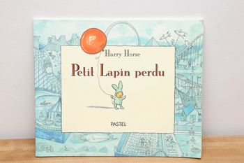 Petit lapin perdu