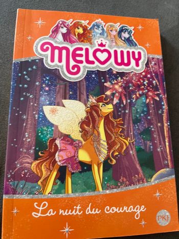 Livre roman jeunesse melowy tome 3