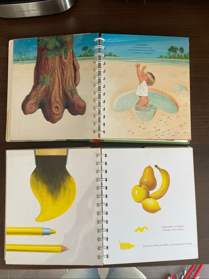 Lot 2 livres Mes premières découverte - photo numéro 7