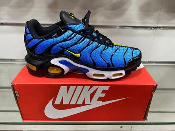 Nike air max tn deux face