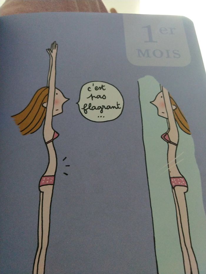 Le cahier grossesse des paresseuses - photo numéro 7