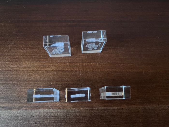 Décoration cubes en verre animaux - photo numéro 3