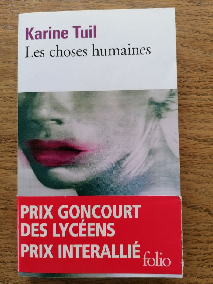 Les choses humaines de Karine Tuil