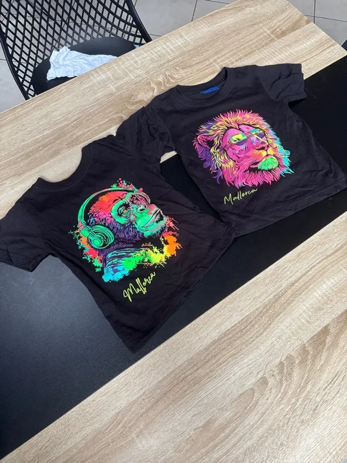 Lot de deux t shirt 2 ans - photo numéro 2