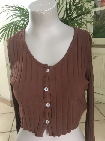 Joli gilet moulant court de chez Shein en 40