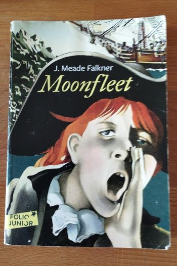 Livre Moonfleet - J Meade Falkner
