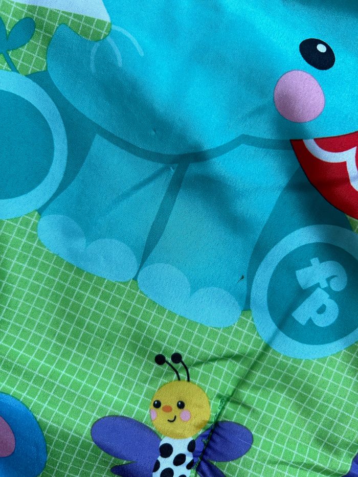Tapis d’éveil Fisher price - photo numéro 3