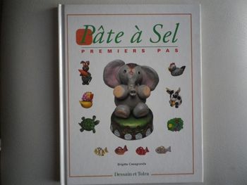 PATE A SEL, PREMIERS PAS