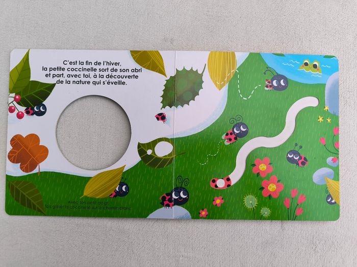 Livre La petite coccinelle - photo numéro 4