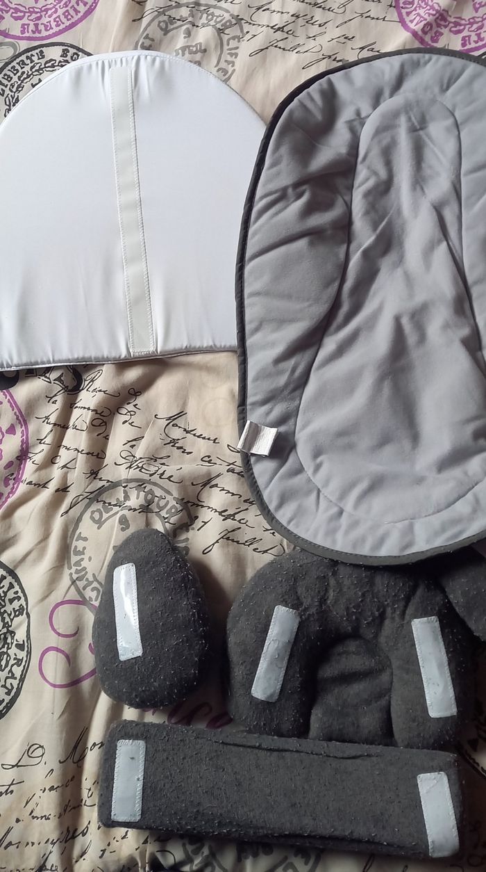 Cale bebe timeo - photo numéro 4