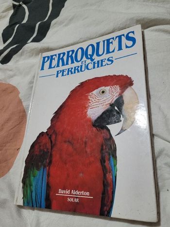 Perroquets et perruches