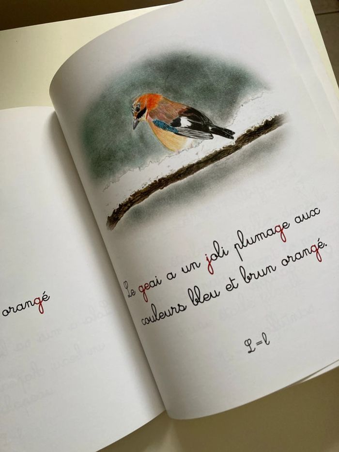 Livre mon t’essorai - photo numéro 3