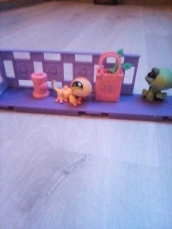 Petshop