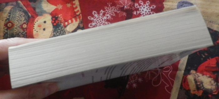 Légende d'un dormeur éveillé de Gaëlle Nohant Ed. Livre de Poche - photo numéro 4