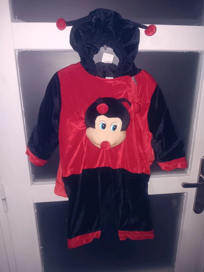 Combinaison déguisement coccinelle 12/18 mois