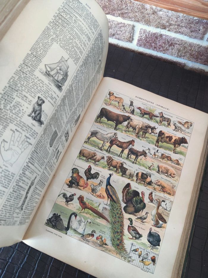 Encyclopédie Larousse illustré - Livre ancien - photo numéro 6