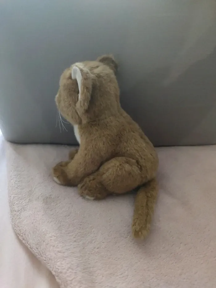 Peluches - photo numéro 4
