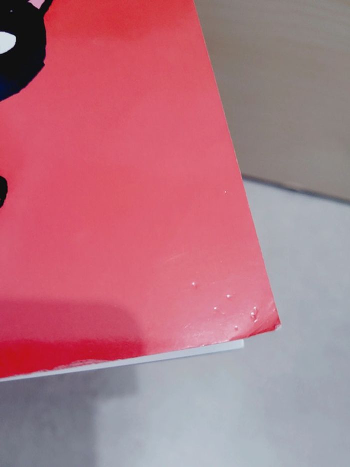 🌺 Livre (école des loisirs) : La tache du chat - photo numéro 8