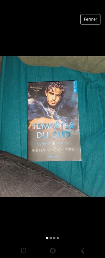 Livre tempêtes du sud  tome 1 de Brittainy Cherry