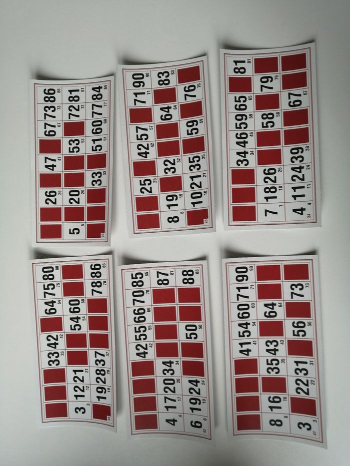 nain jaune et loto - photo numéro 4