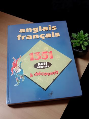 Livre pour apprendre l'anglais