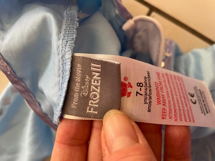 Deguisement disney frozen 2 - photo numéro 7