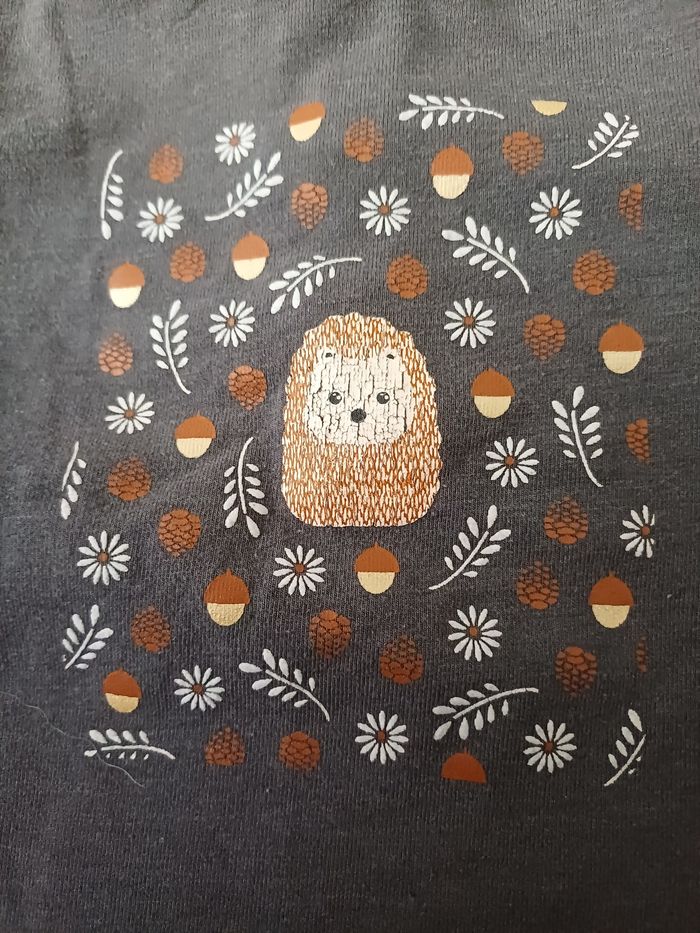 Tee-shirt taille 12 mois. - photo numéro 2