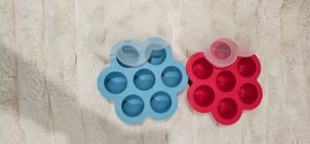 Lot de fleurs 🌸 multiportions BEABA 60ml