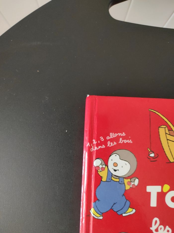 Livre musical T'choupi - photo numéro 4