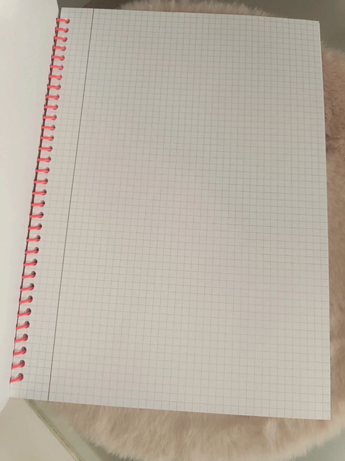 Book spirale-A4-petit carreaux - photo numéro 2