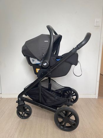 Poussette joie chrome Shale