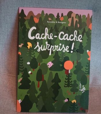 Livre école des loisirs cache cache surprise