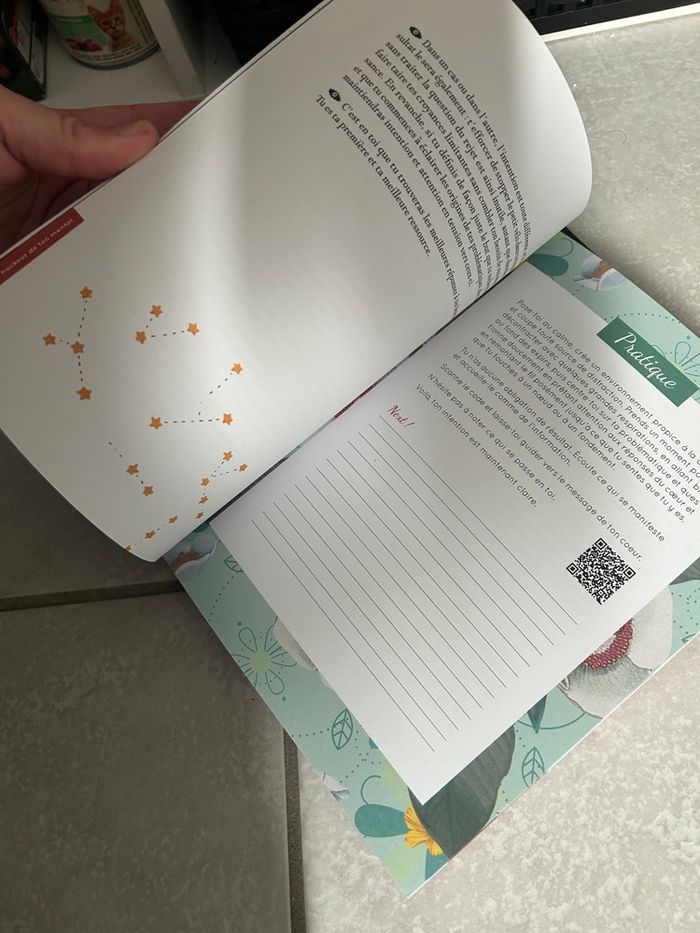 Hack ton mental et hack tes émotions - photo numéro 5