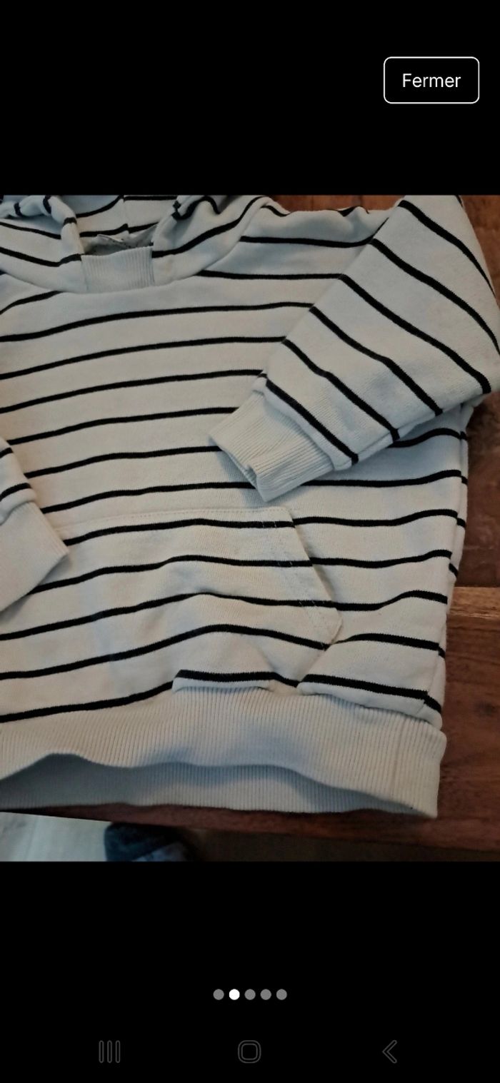 Sweat a capuche 18mois - photo numéro 2