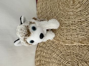 Peluche chien LOVY PELUCHES  husky 