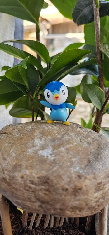 Super figurine Pokemon Nintendo tiplouf 