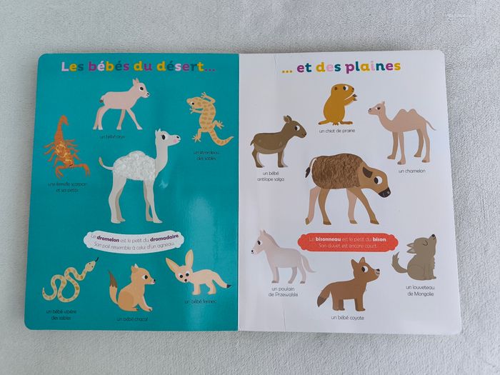 Livre Mes premiers bébés animaux à toucher Auzou - photo numéro 6