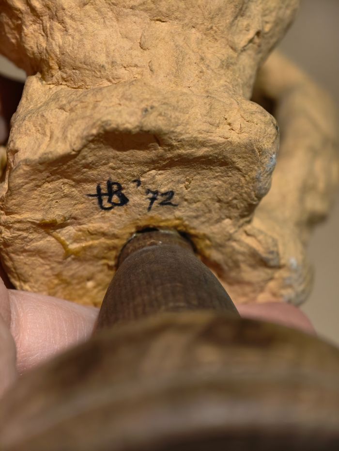 Oeuvre en papier mâché - photo numéro 9