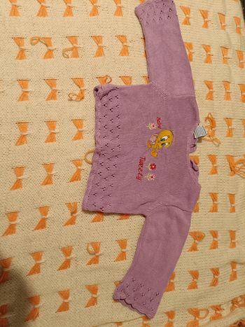 Pull bébé – Titi Baby Looney Tunes (6 mois)