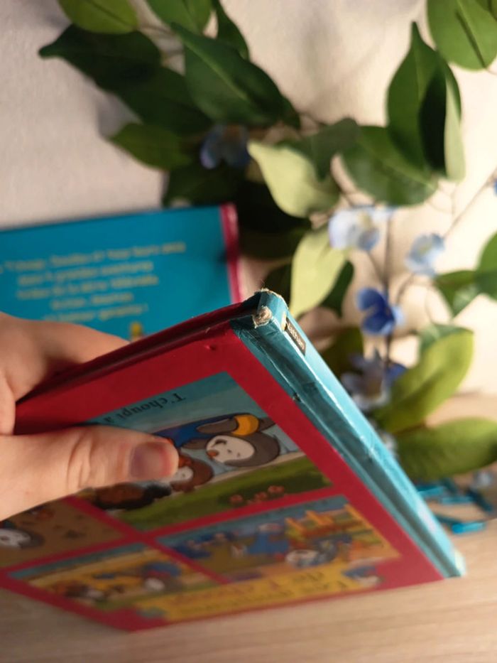 Lot de 2 livres - Les aventures de T'choupi - Tome 5 & 6 - photo numéro 8