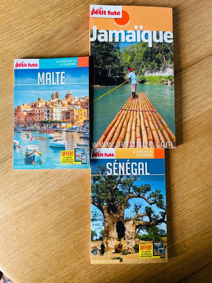 Lot de 3 guides le petit futé