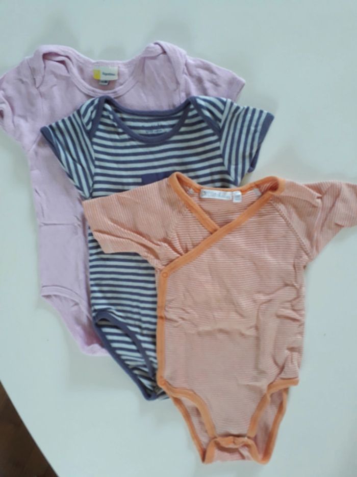 Lot bodies 1 an