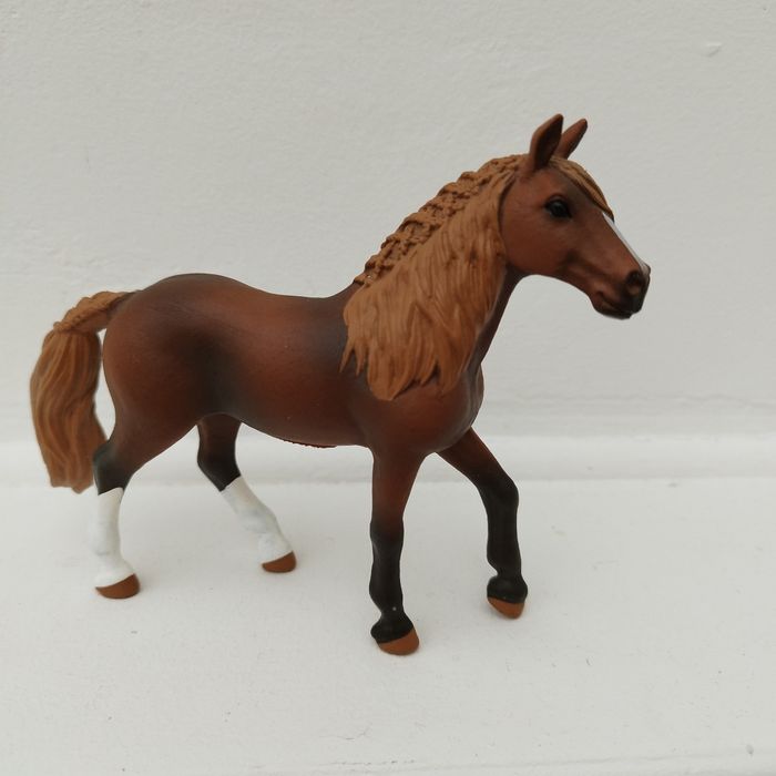 Jument paso péruvien