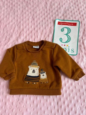 Pull 3 mois