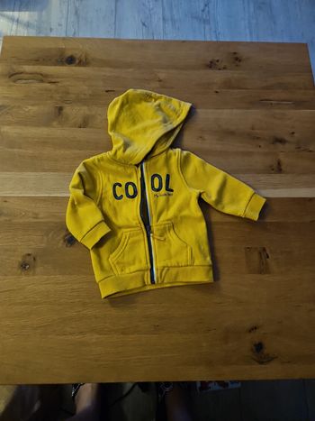 Gilet zippé capuche