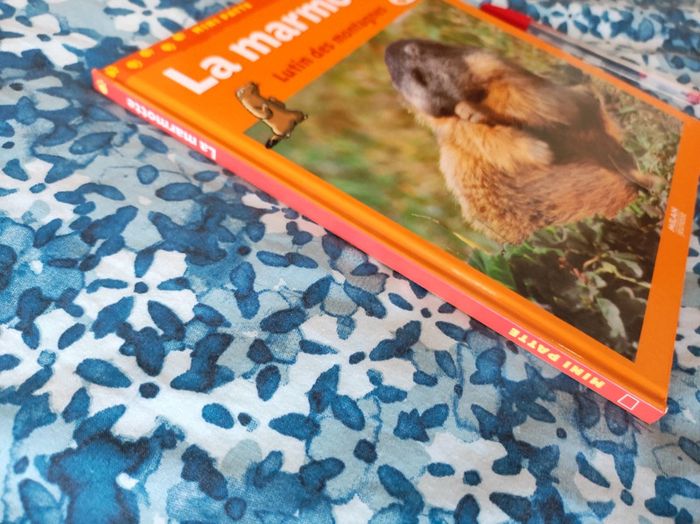 Livre album La Marmotte - photo numéro 2